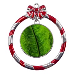 Green-leaf-plant-freshness-color Metal Red Ribbon Round Ornament by Bedest