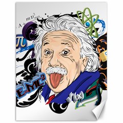 Albert Einstein Physicist Canvas 12  X 16  by Cowasu