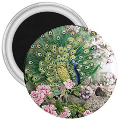 Peafowl Peacock Feather-beautiful 3  Magnets by Cowasu