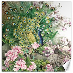 Peafowl Peacock Feather-beautiful Canvas 12  X 12  by Cowasu