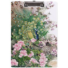 Peafowl Peacock Feather-beautiful A4 Acrylic Clipboard by Cowasu