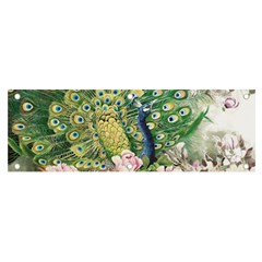 Peafowl Peacock Feather-beautiful Banner And Sign 6  X 2  by Cowasu