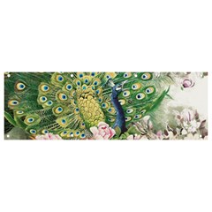 Peafowl Peacock Feather-beautiful Banner And Sign 9  X 3  by Cowasu