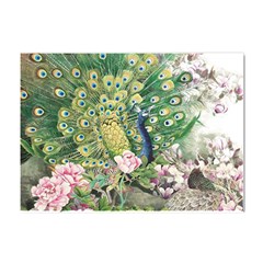 Peafowl Peacock Feather-beautiful Crystal Sticker (a4) by Cowasu