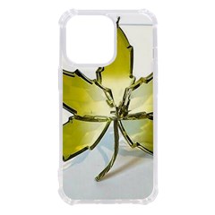 Images (6) Iphone 13 Pro Tpu Uv Print Case