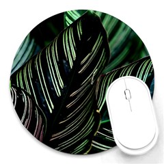 Calathea Leaves Strippe Line Round Mousepad by Ravend