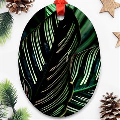 Calathea Leaves Strippe Line Ornament (oval) by Ravend