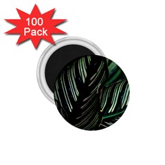 Calathea Leaves Strippe Line 1 75  Magnets (100 Pack)  by Ravend