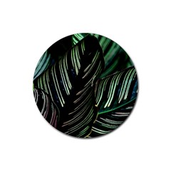 Calathea Leaves Strippe Line Rubber Coaster (round) by Ravend