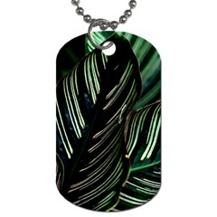 Calathea Leaves Strippe Line Dog Tag (one Side) by Ravend