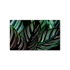 Calathea Leaves Strippe Line Sticker Rectangular (100 Pack) by Ravend