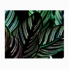 Calathea Leaves Strippe Line Small Glasses Cloth by Ravend