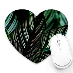 Calathea Leaves Strippe Line Heart Mousepad by Ravend