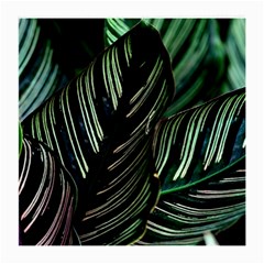 Calathea Leaves Strippe Line Medium Glasses Cloth by Ravend