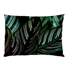 Calathea Leaves Strippe Line Pillow Case by Ravend