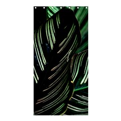 Calathea Leaves Strippe Line Shower Curtain 36  X 72  (stall)  by Ravend