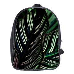 Calathea Leaves Strippe Line School Bag (xl) by Ravend