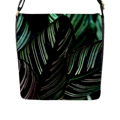 Calathea Leaves Strippe Line Flap Closure Messenger Bag (l) by Ravend