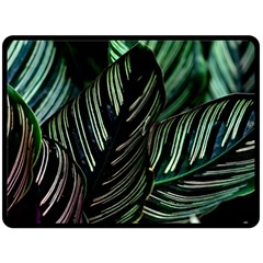 Calathea Leaves Strippe Line Two Sides Fleece Blanket (large) by Ravend