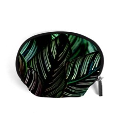 Calathea Leaves Strippe Line Accessory Pouch (small) by Ravend