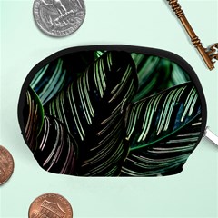 Calathea Leaves Strippe Line Accessory Pouch (medium) by Ravend