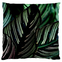 Calathea Leaves Strippe Line Standard Premium Plush Fleece Cushion Case (two Sides) by Ravend