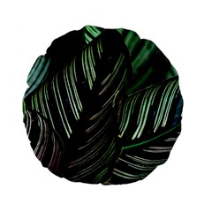 Calathea Leaves Strippe Line Standard 15  Premium Flano Round Cushions by Ravend