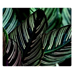 Calathea Leaves Strippe Line Two Sides Premium Plush Fleece Blanket (small) by Ravend