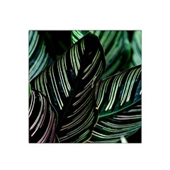 Calathea Leaves Strippe Line Satin Bandana Scarf 22  X 22  by Ravend