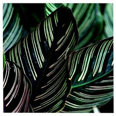 Calathea Leaves Strippe Line Wooden Puzzle Square by Ravend