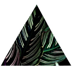 Calathea Leaves Strippe Line Wooden Puzzle Triangle by Ravend