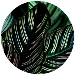 Calathea Leaves Strippe Line Wooden Puzzle Round by Ravend