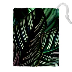 Calathea Leaves Strippe Line Drawstring Pouch (5xl) by Ravend