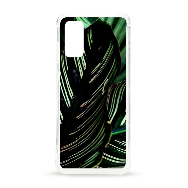 Calathea Leaves Strippe Line Samsung Galaxy S20 6.2 Inch TPU UV Case