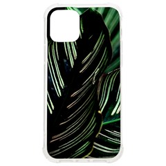 Calathea Leaves Strippe Line Iphone 12/12 Pro Tpu Uv Print Case by Ravend