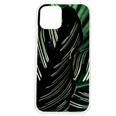 Calathea Leaves Strippe Line Iphone 12 Pro Max Tpu Uv Print Case by Ravend