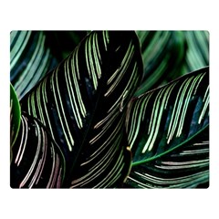 Calathea Leaves Strippe Line Premium Plush Fleece Blanket (large)