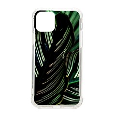 Calathea Leaves Strippe Line Iphone 11 Pro 5 8 Inch Tpu Uv Print Case by Ravend