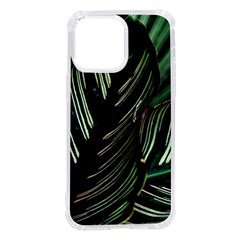 Calathea Leaves Strippe Line Iphone 14 Pro Max Tpu Uv Print Case