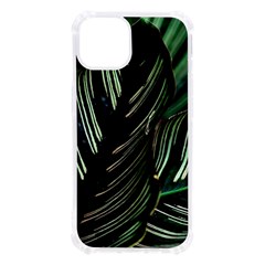 Calathea Leaves Strippe Line Iphone 13 Tpu Uv Print Case by Ravend