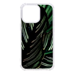 Calathea Leaves Strippe Line Iphone 13 Pro Tpu Uv Print Case by Ravend