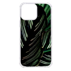 Calathea Leaves Strippe Line Iphone 13 Pro Max Tpu Uv Print Case by Ravend