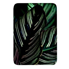 Calathea Leaves Strippe Line Rectangular Glass Fridge Magnet (4 Pack) by Ravend