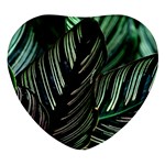 Calathea Leaves Strippe Line Heart Glass Fridge Magnet (4 pack) Front