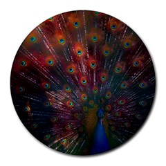 Peacock Feather Bird Round Mousepad by Bedest