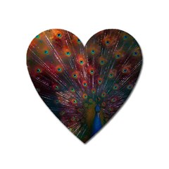 Peacock Feather Bird Heart Magnet by Bedest