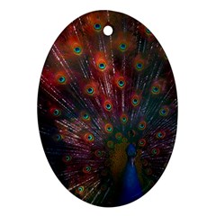 Peacock Feather Bird Oval Ornament (two Sides) by Bedest