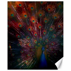 Peacock Feather Bird Canvas 16  X 20  by Bedest