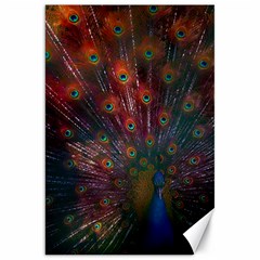 Peacock Feather Bird Canvas 20  X 30  by Bedest