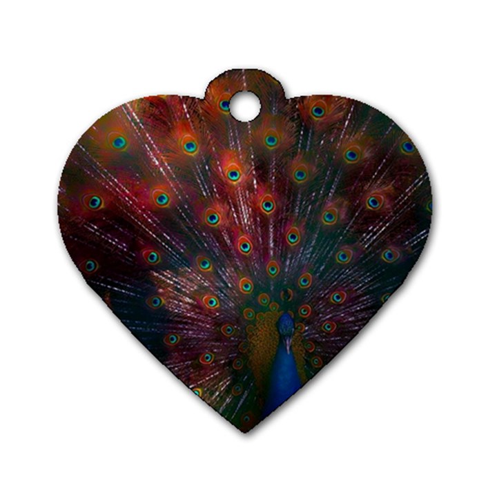 Peacock Feather Bird Dog Tag Heart (One Side)